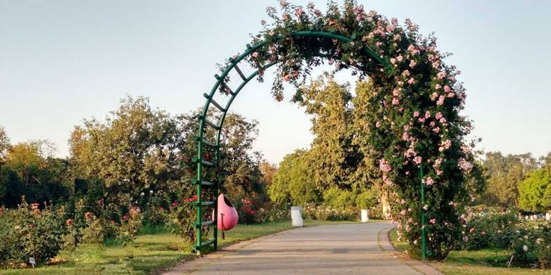 Zakir Hussain Rose Garden